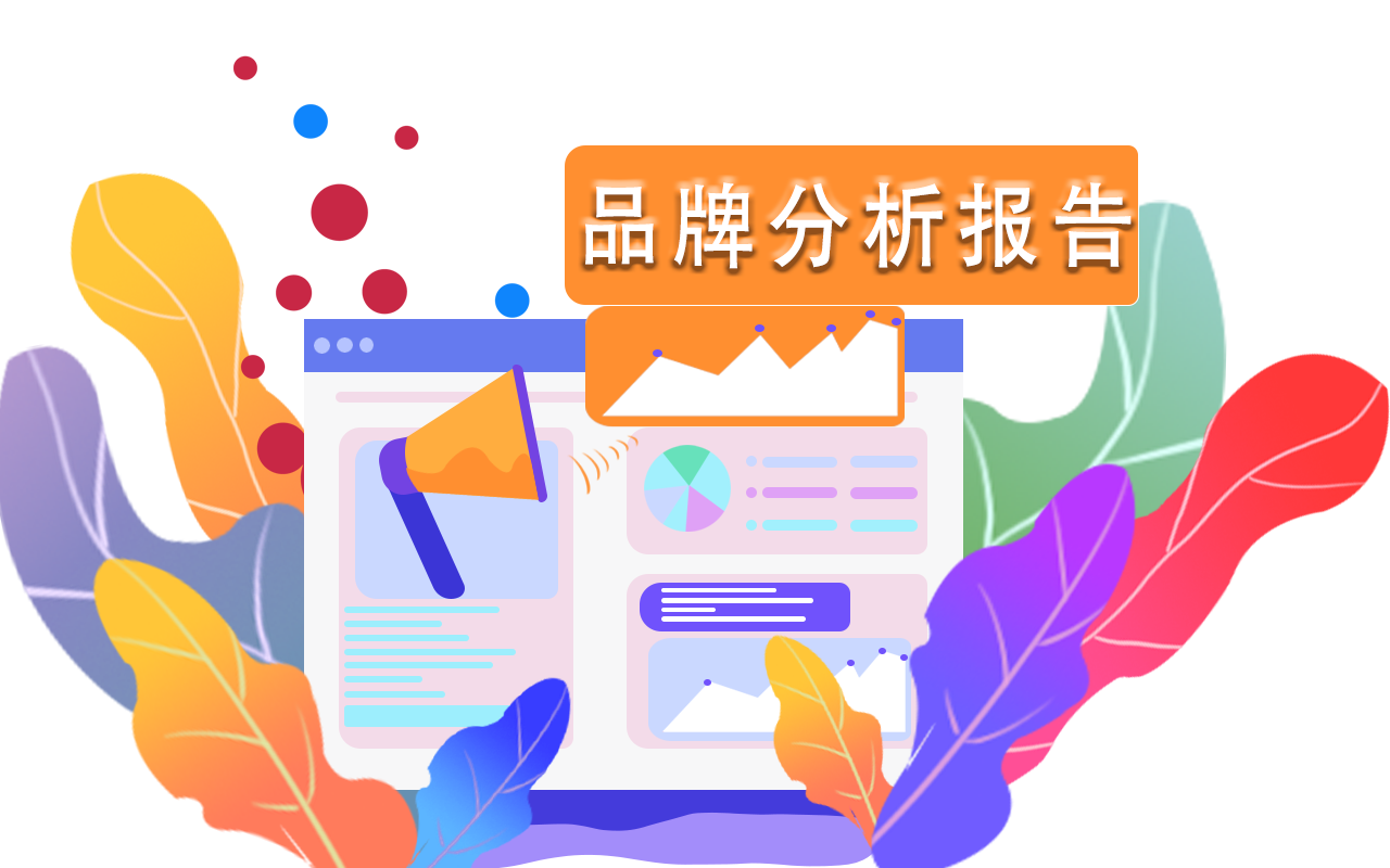帮选品牌分析报告