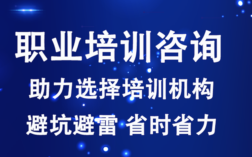 职业培训咨询