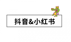 抖音和小红书那个更适合作为企业的主打平台？
